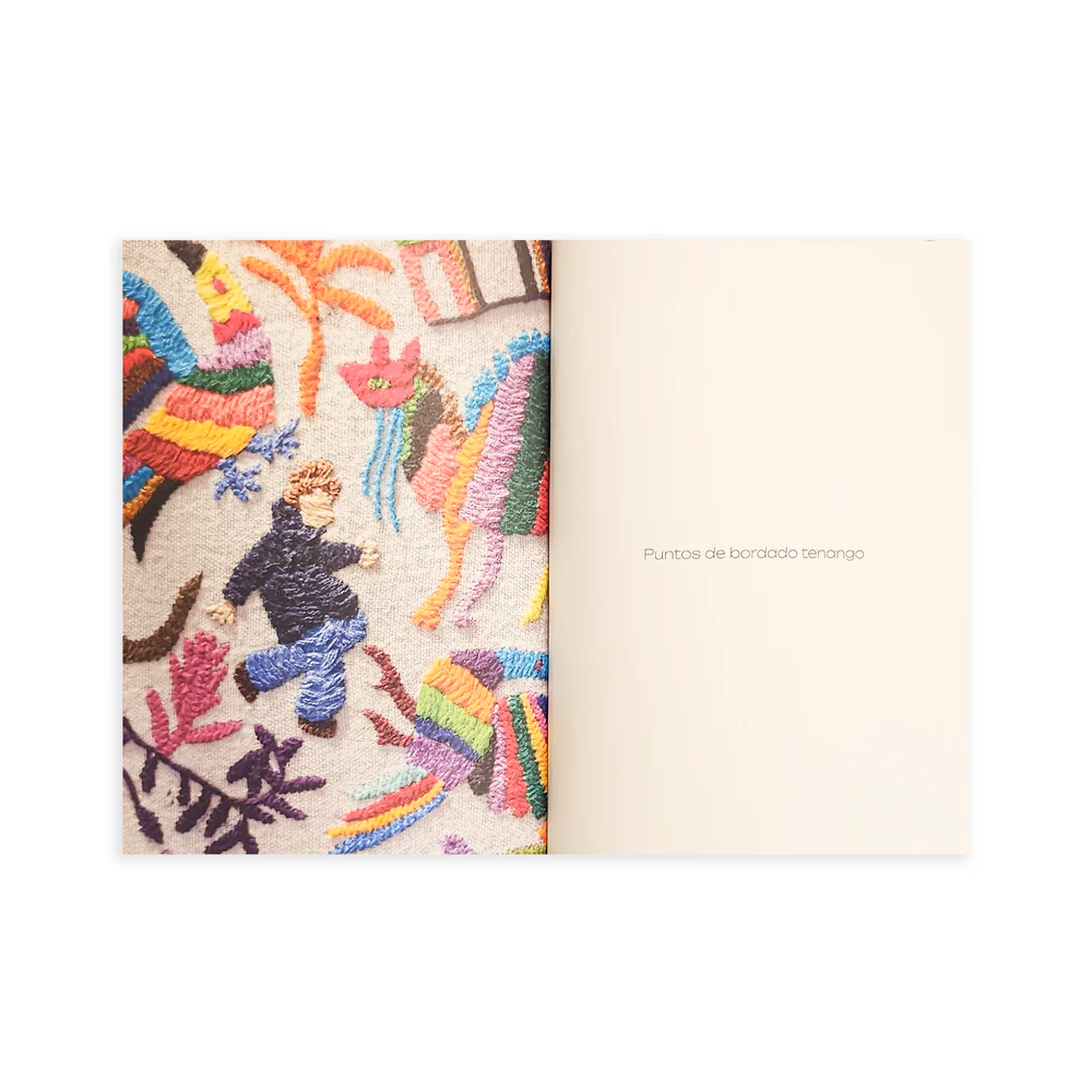 Camino a Tenango - Gimena Romero - Imagen 3