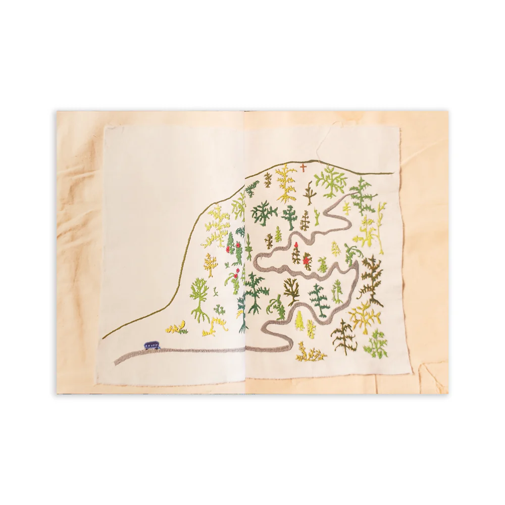 Camino a Tenango - Gimena Romero - Imagen 4