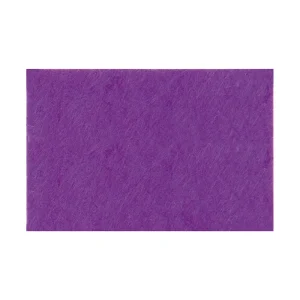 Fieltro Rico 20x30cm