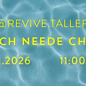 Charm punch needle - Portal Belloto - @revive.taller (25-01 11.00 hrs)
