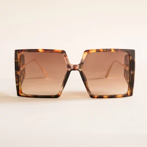 The Other Way Around, Café Obscuro