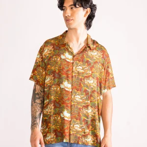 Know It All Camisa, Café Claro