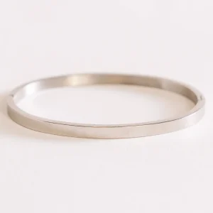 Endless Adventure Pulcera, Plateado